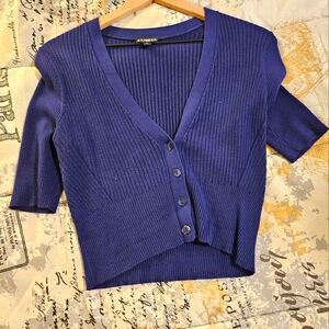 Express Women's Blue Ribbed Sweater